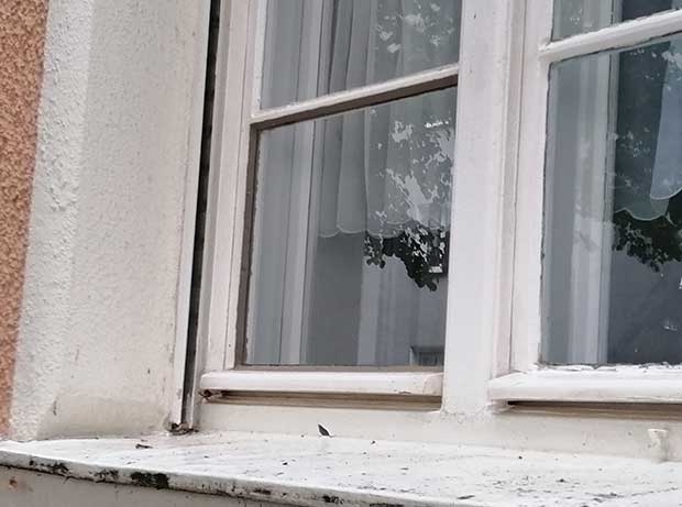 Schreinerei - Holzfenster reparieren, Holzfenster sanieren